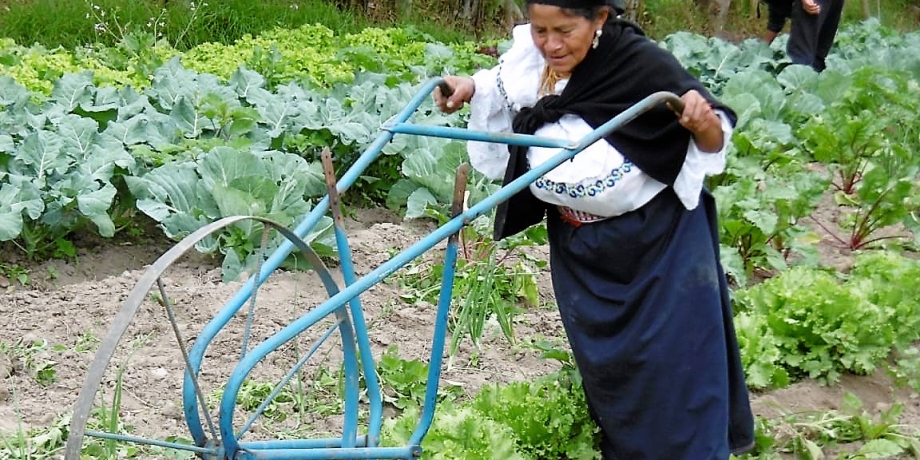 La producción agroecológica, una práctica de reciprocidad y respeto